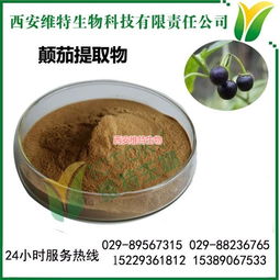 顛茄提取物 來源、應用與西安維特生物科技的高清圖片展示